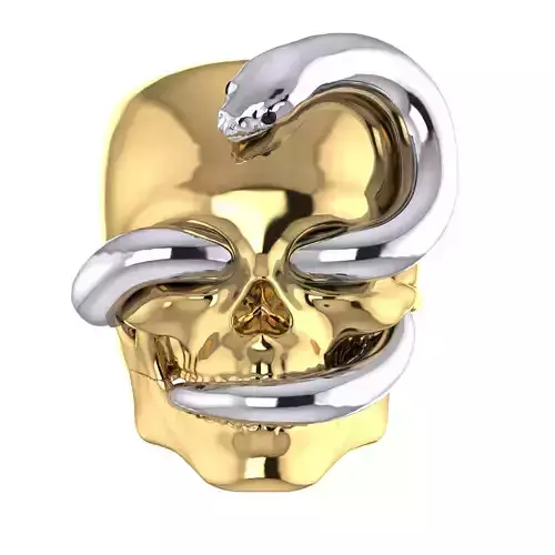 skull ring 3D print model