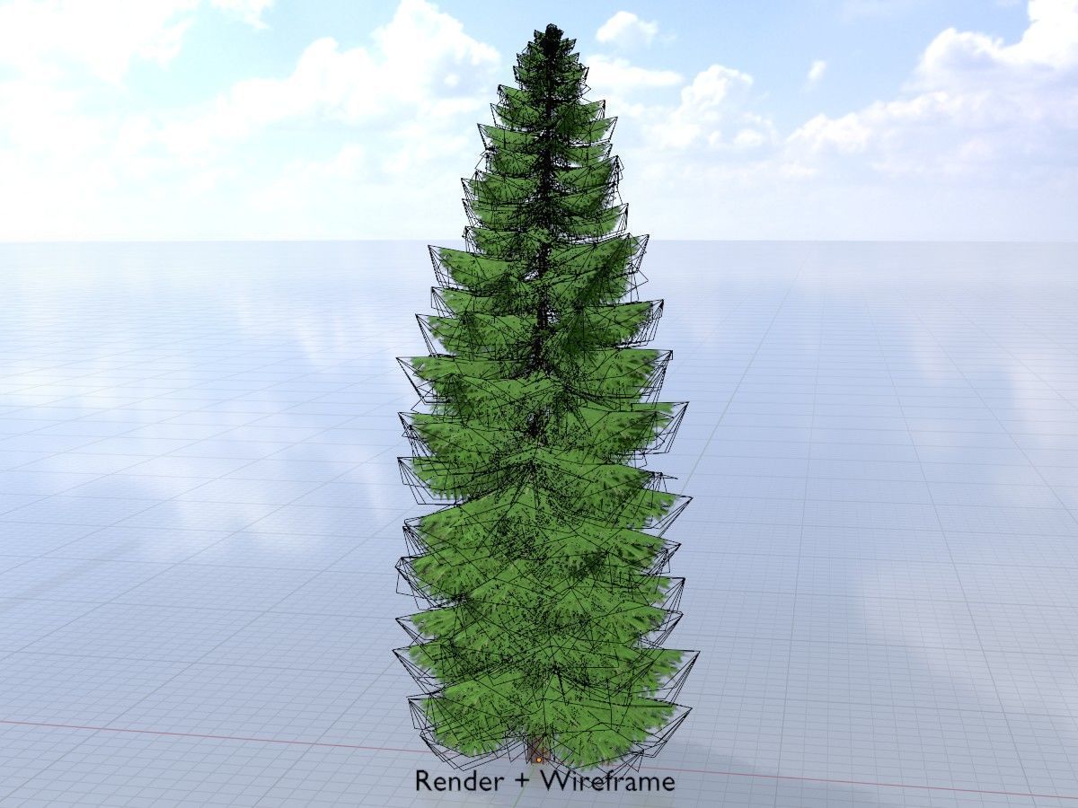 Spruce Tree Package 3D Model Collection_45