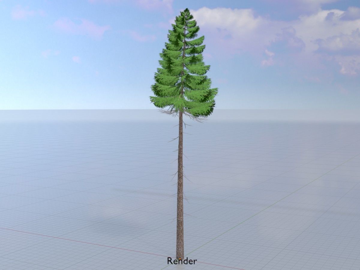 Spruce Tree Package 3D Model Collection_35