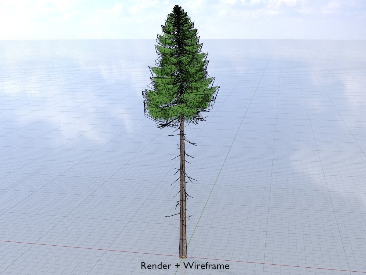 Spruce Tree Package 3D Model Collection_18