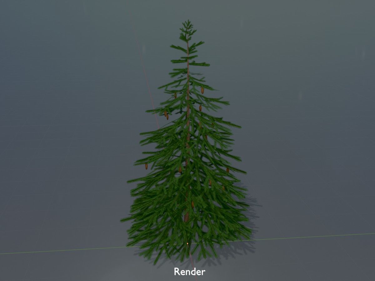 Spruce Tree Package 3D Model Collection_116