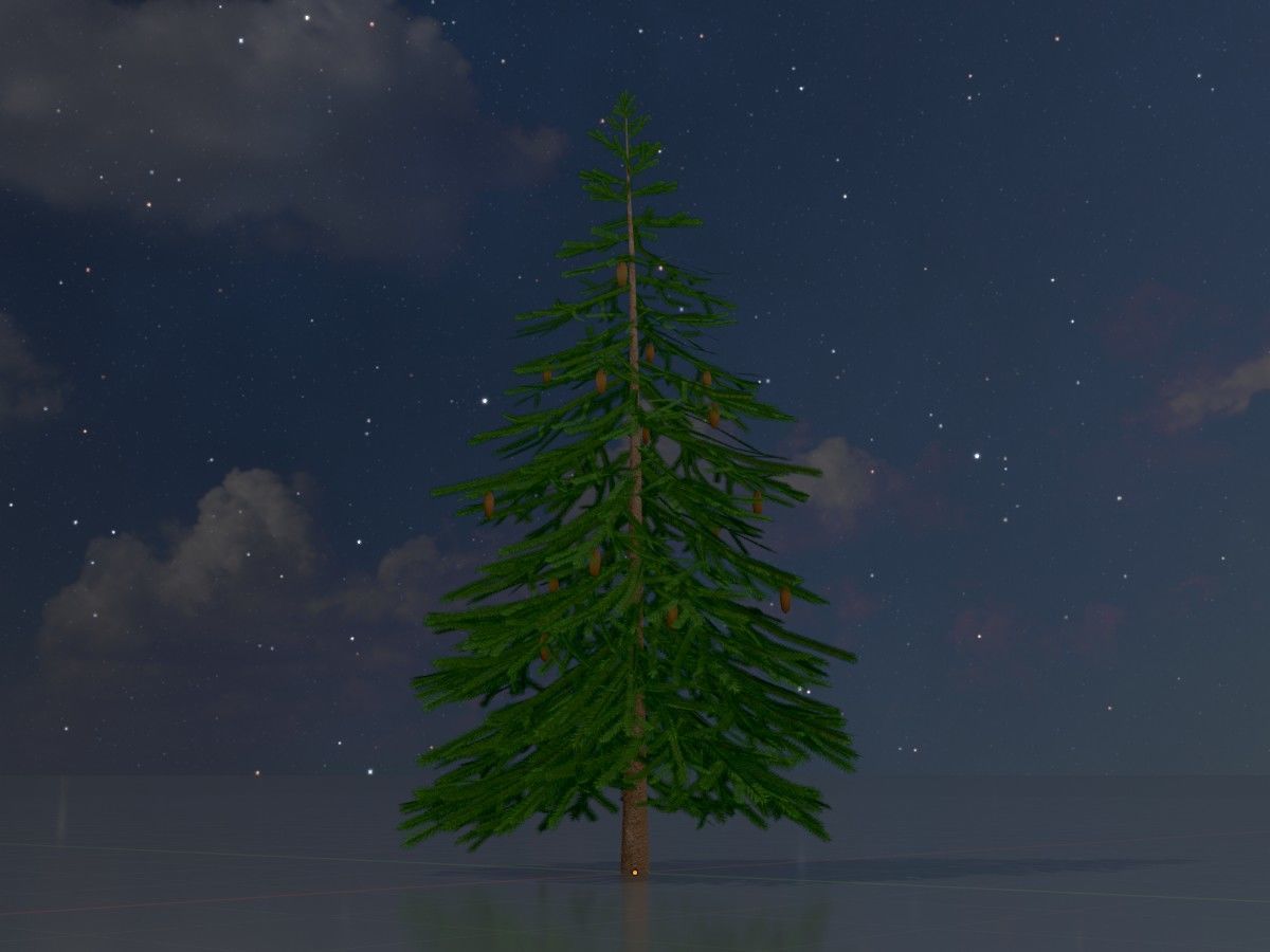 Spruce Tree Package 3D Model Collection_104