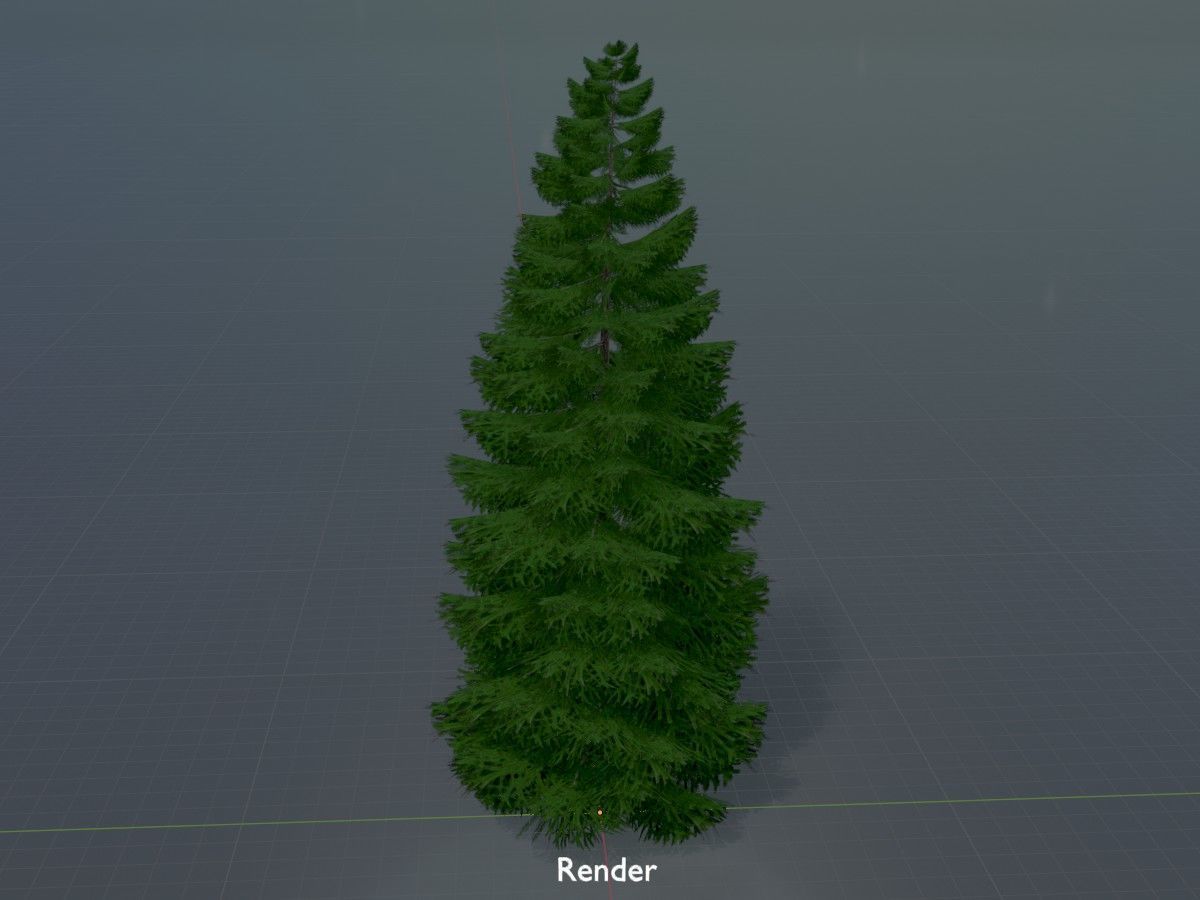 Spruce Tree Package 3D Model Collection_76