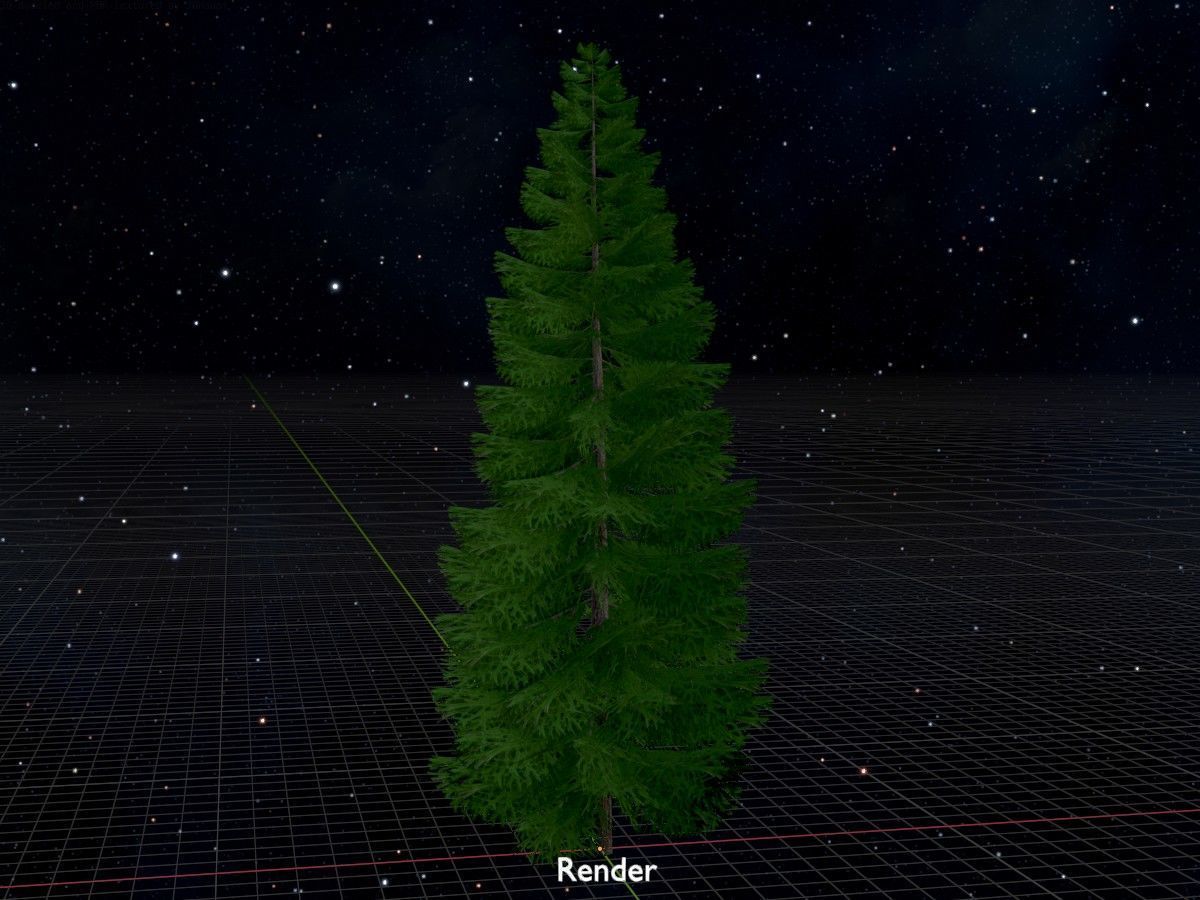 Spruce Tree Package 3D Model Collection_77