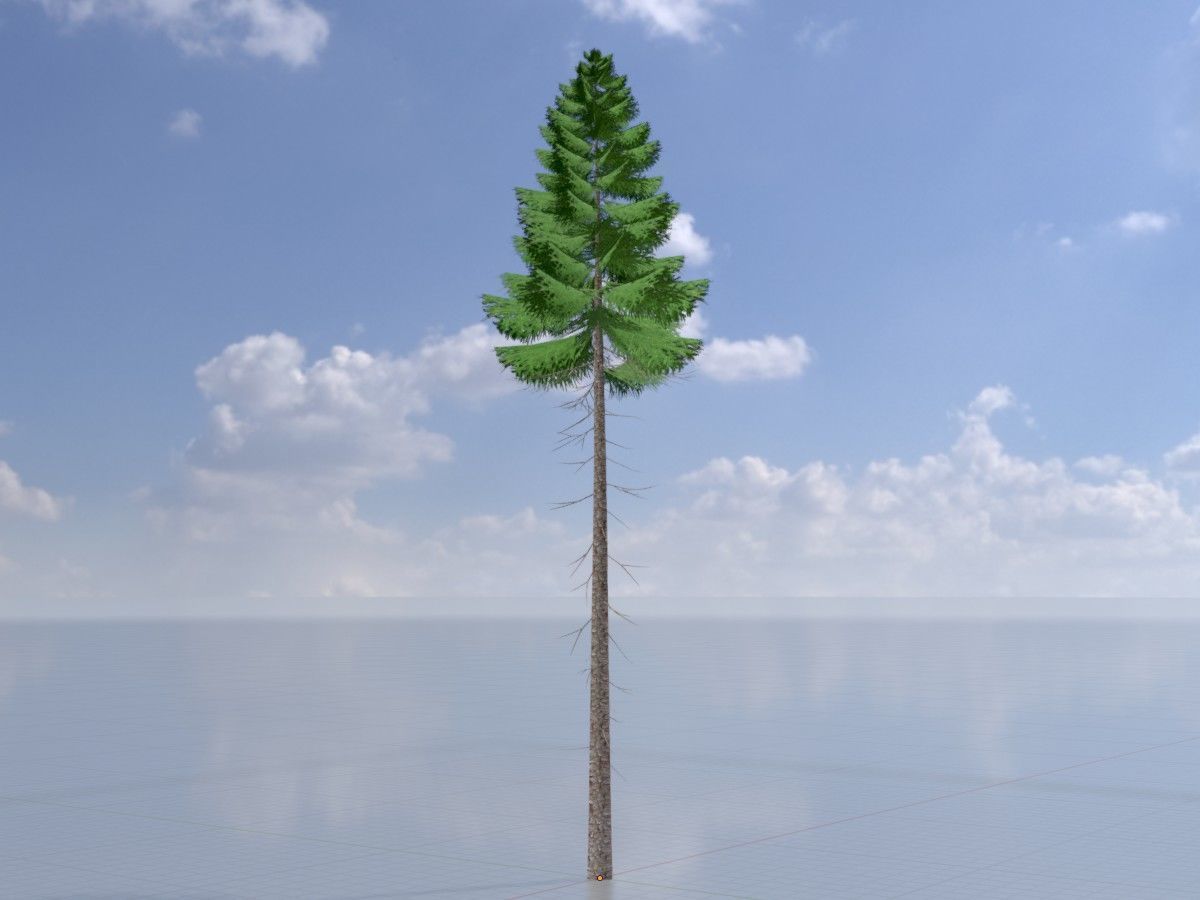 Spruce Tree Package 3D Model Collection_12