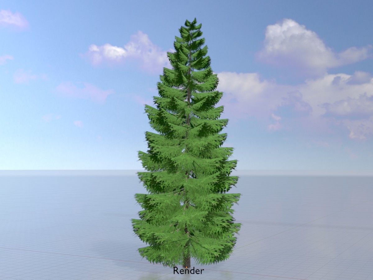 Spruce Tree Package 3D Model Collection_75