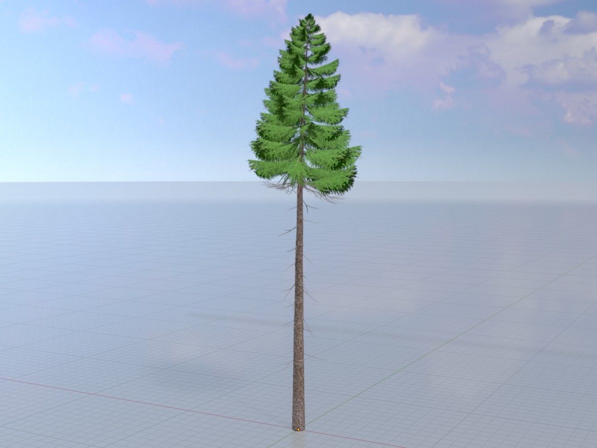 Spruce Tree Package 3D Model Collection_14