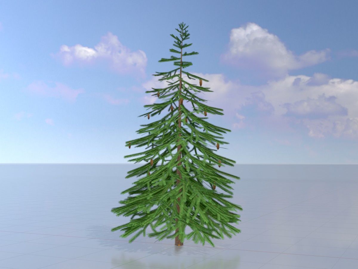 Spruce Tree Package 3D Model Collection_103