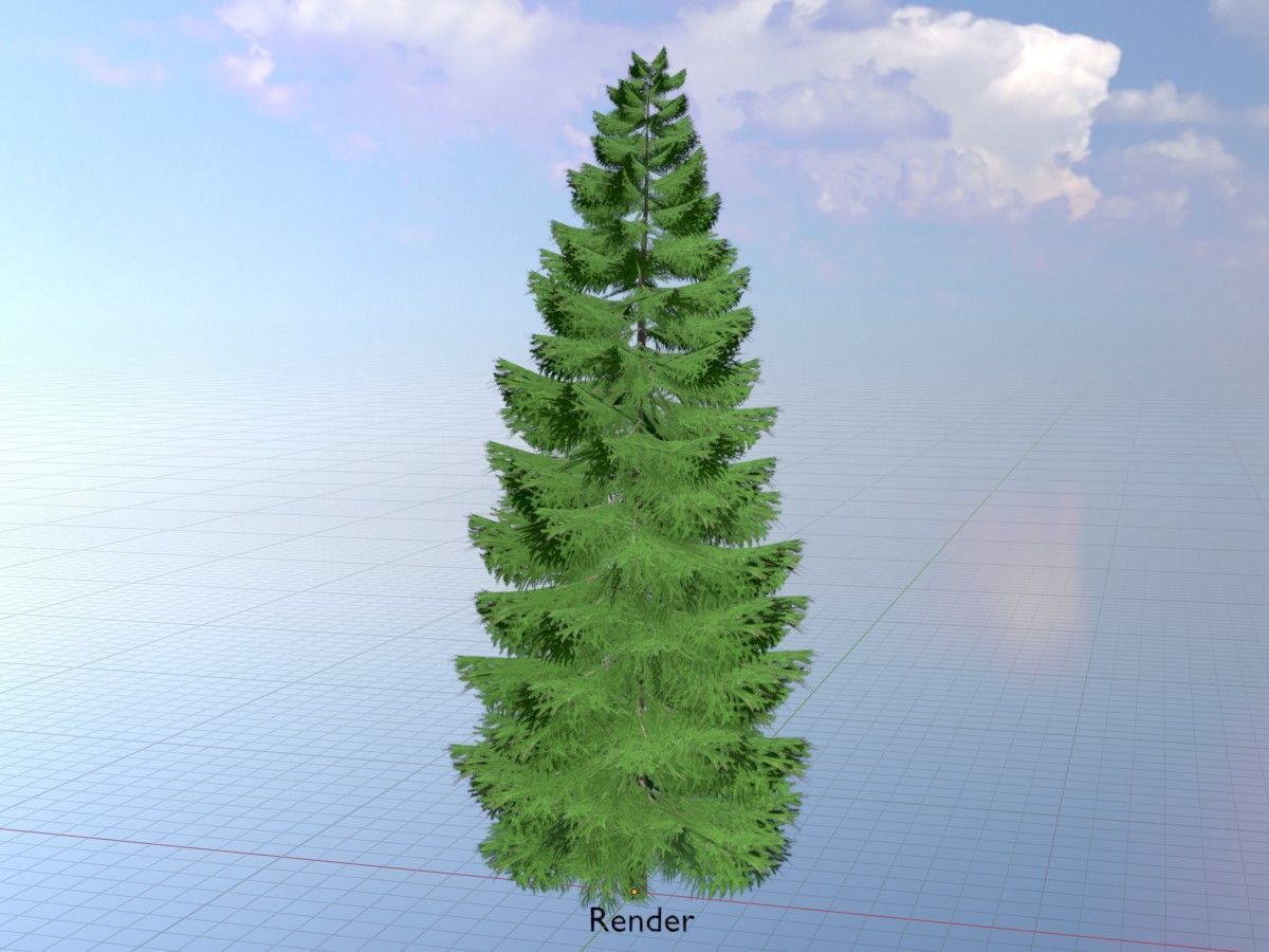 Spruce Tree Package 3D Model Collection_79