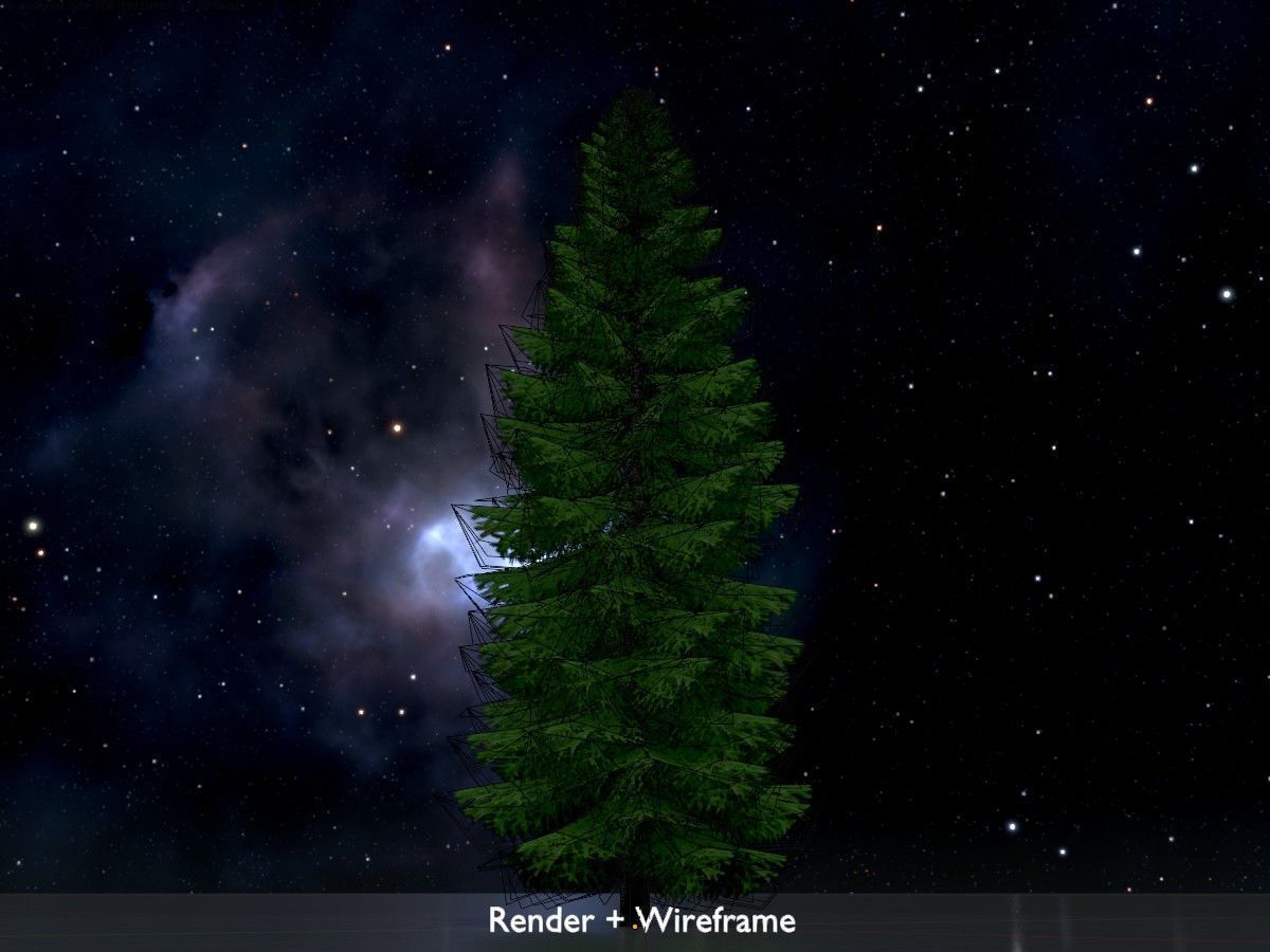 Spruce Tree Package 3D Model Collection_47