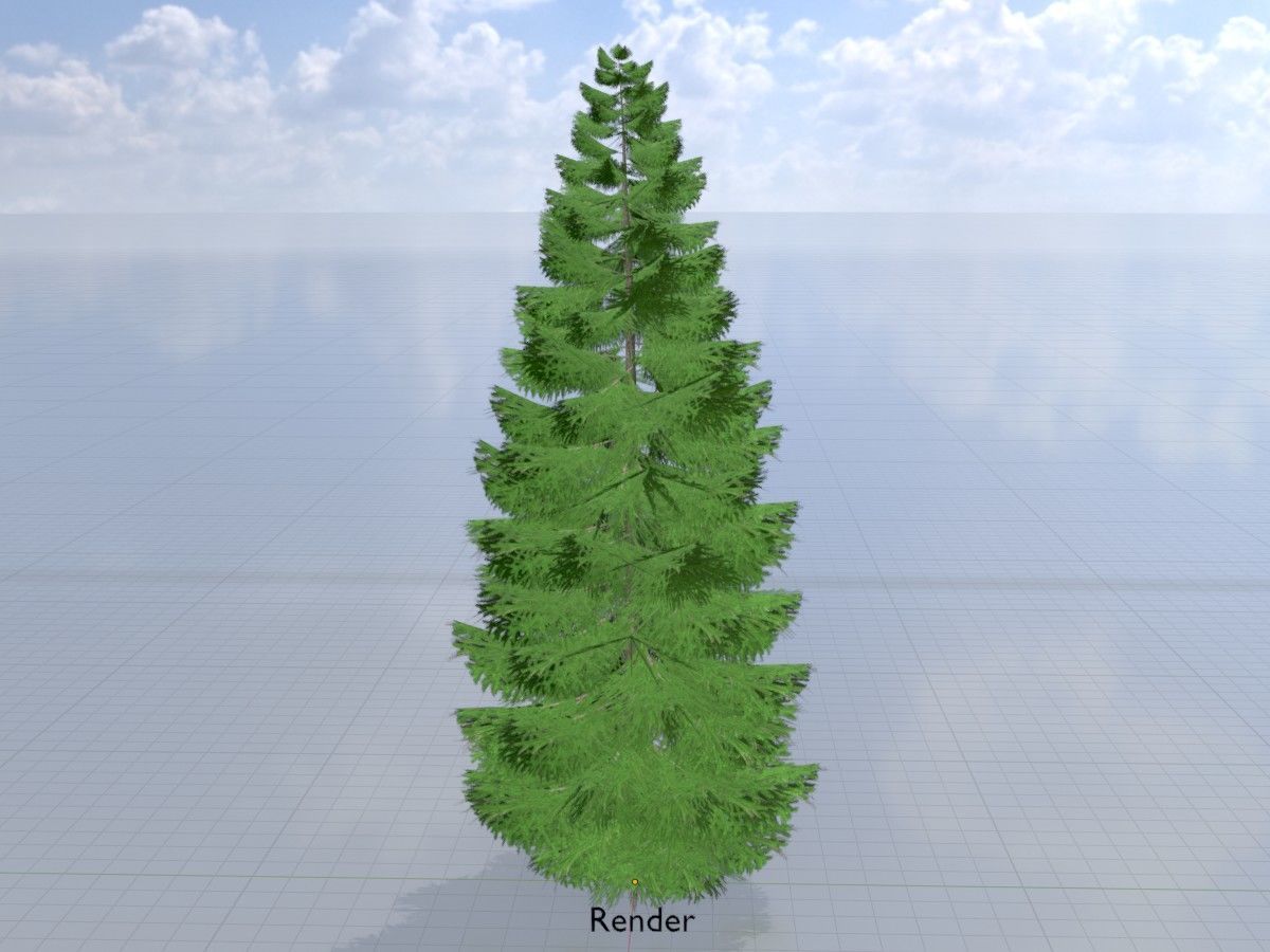 Spruce Tree Package 3D Model Collection_74