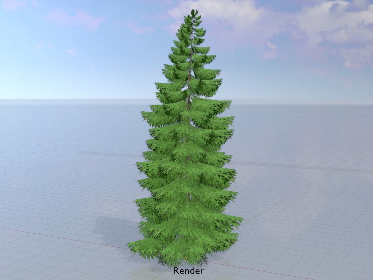 Spruce Tree Package 3D Model Collection_95