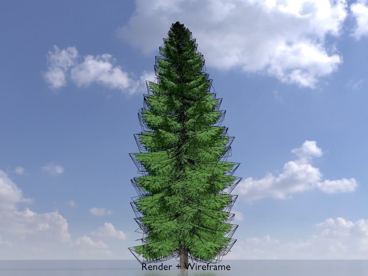 Spruce Tree Package 3D Model Collection_46
