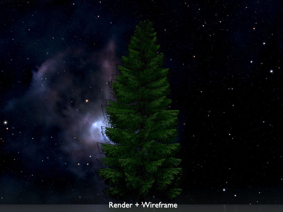 Spruce Tree Package 3D Model Collection_67