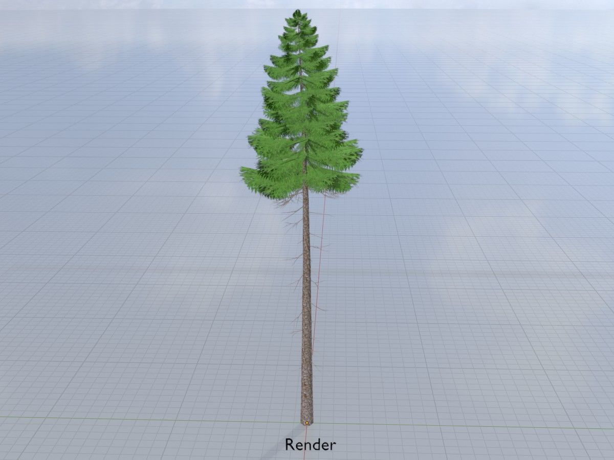 Spruce Tree Package 3D Model Collection_34