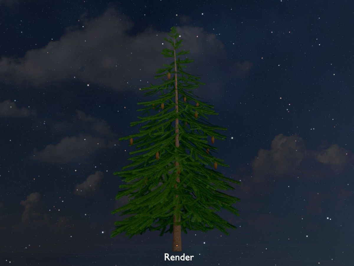 Spruce Tree Package 3D Model Collection_120