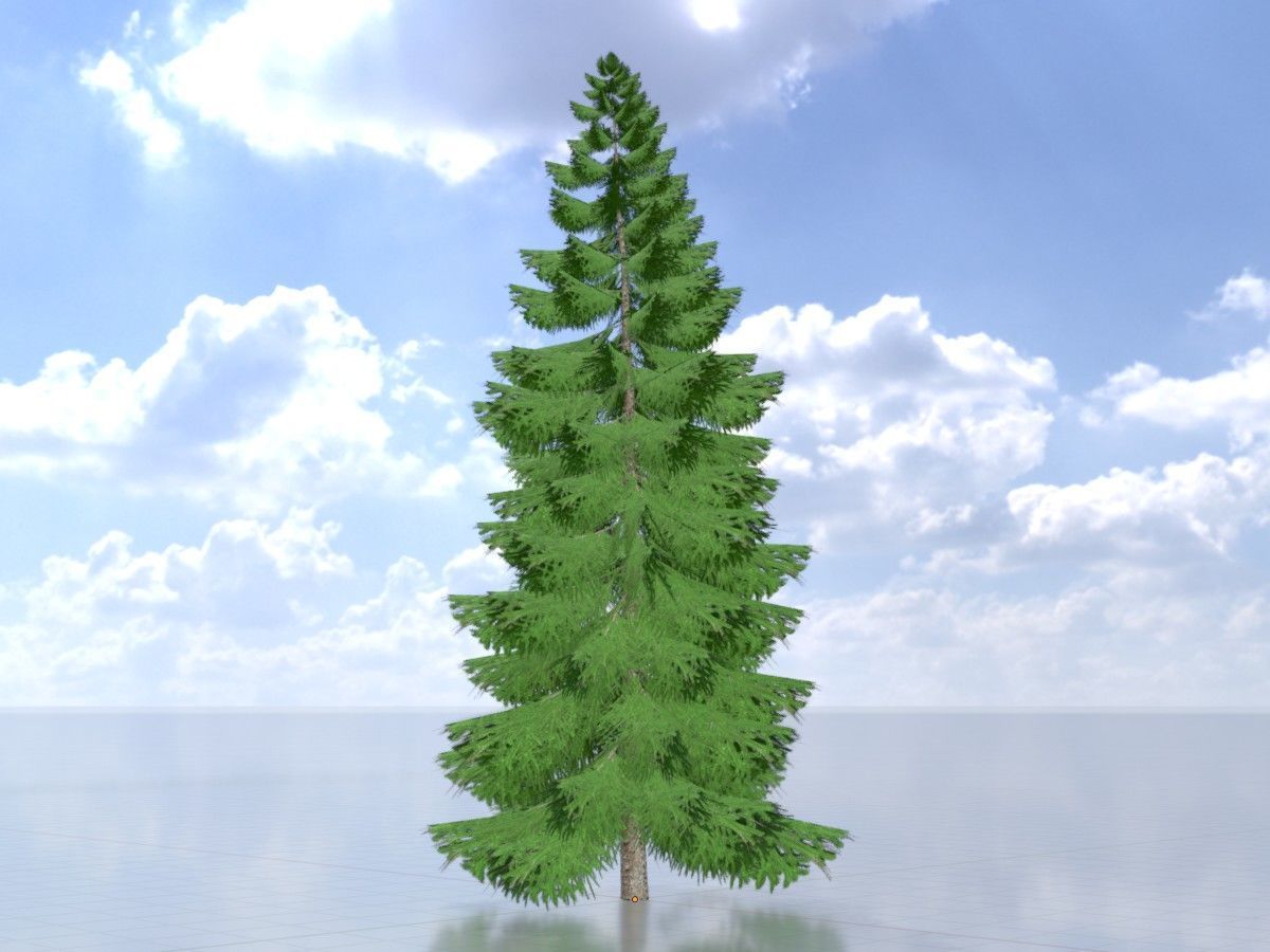 Spruce Tree Package 3D Model Collection_81