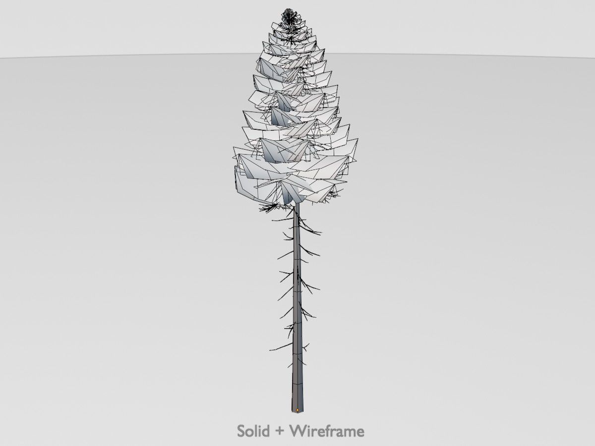Spruce Tree Package 3D Model Collection_32