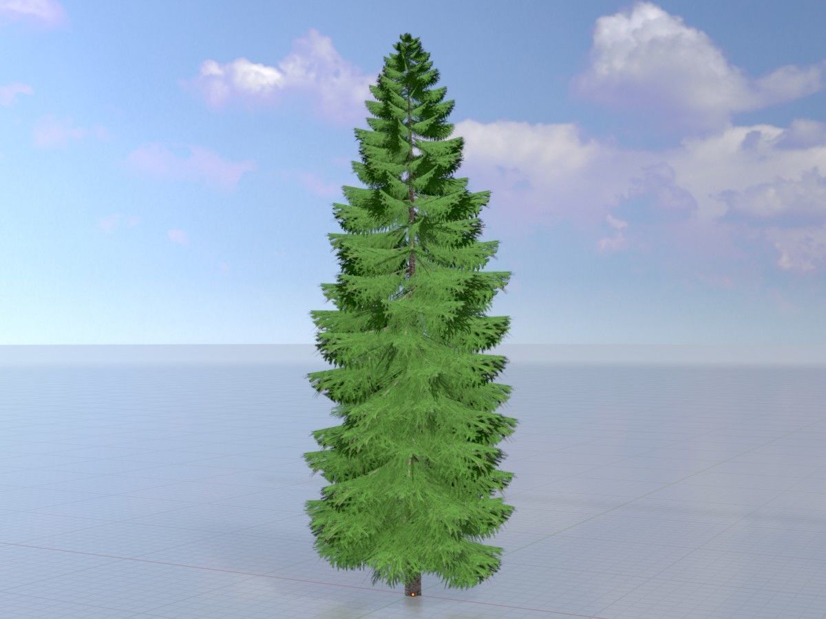 Spruce Tree Package 3D Model Collection_43