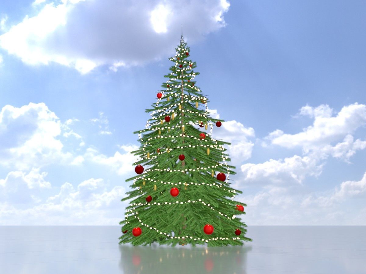 Spruce Tree Package 3D Model Collection_121