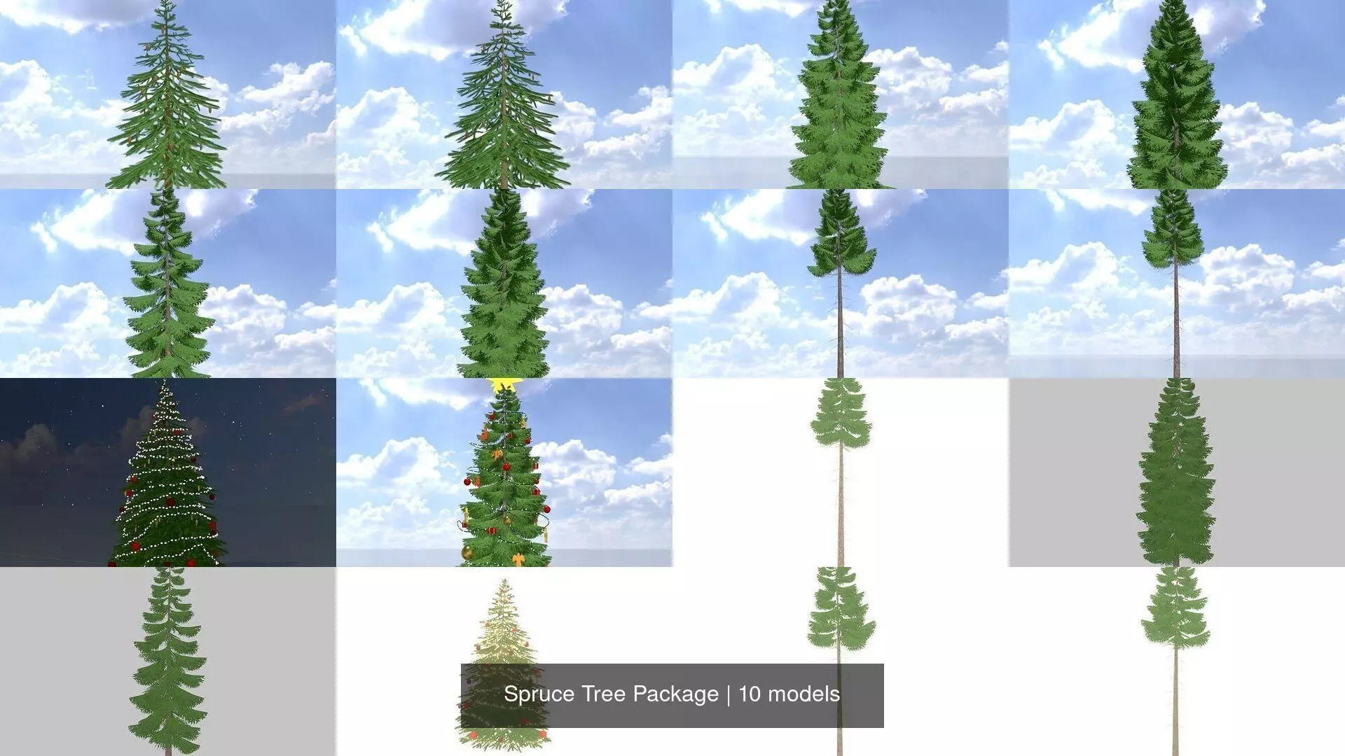 Spruce Tree Package 3D Model Collection_0