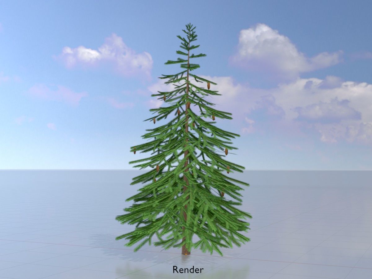 Spruce Tree Package 3D Model Collection_115