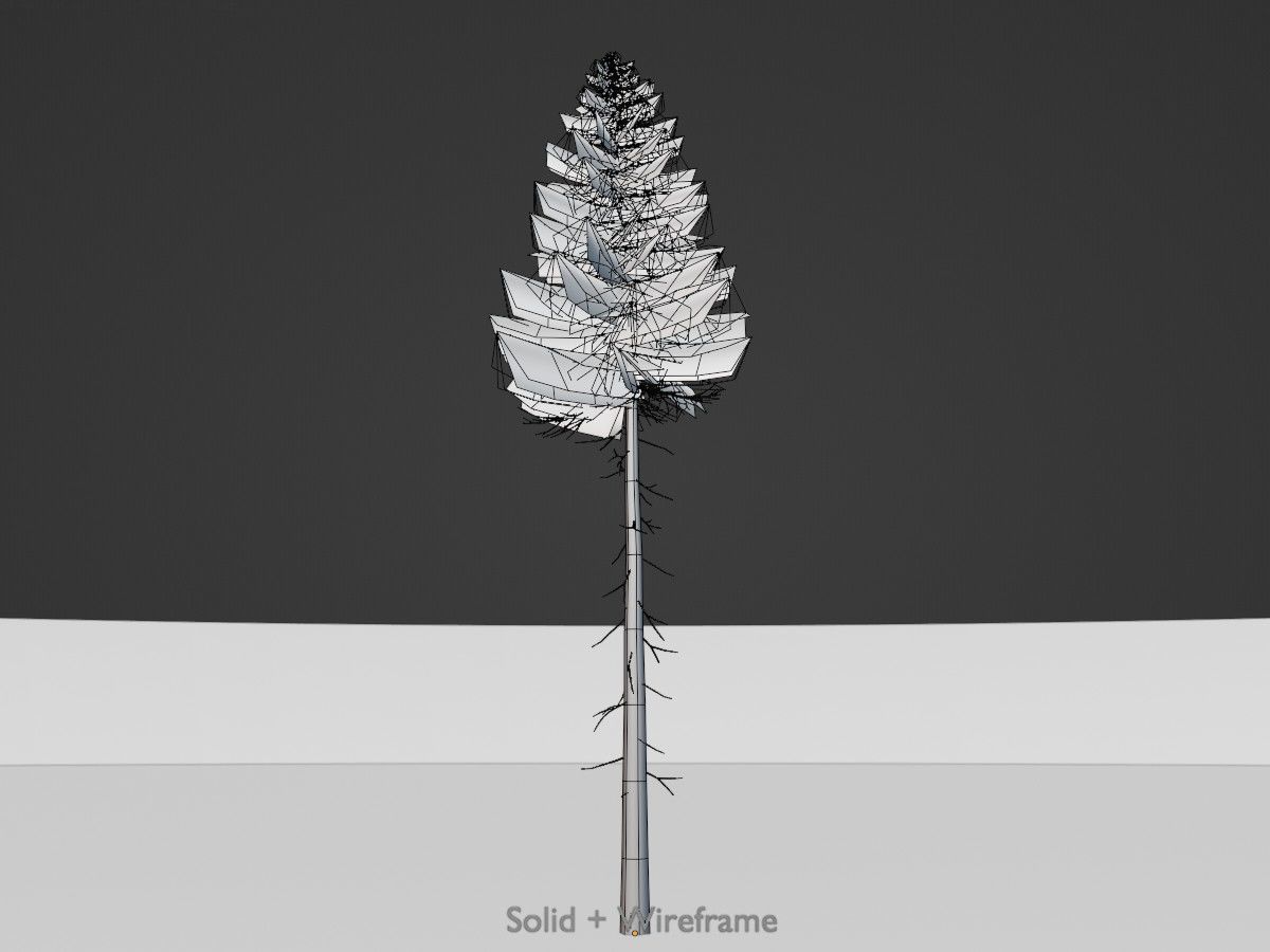 Spruce Tree Package 3D Model Collection_26