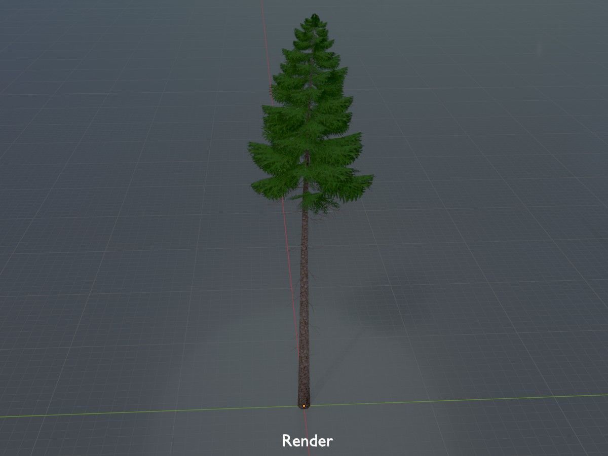 Spruce Tree Package 3D Model Collection_36
