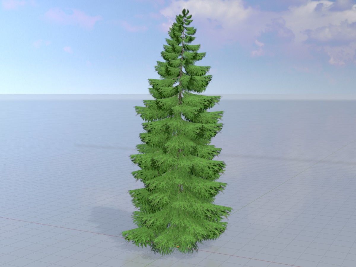 Spruce Tree Package 3D Model Collection_83