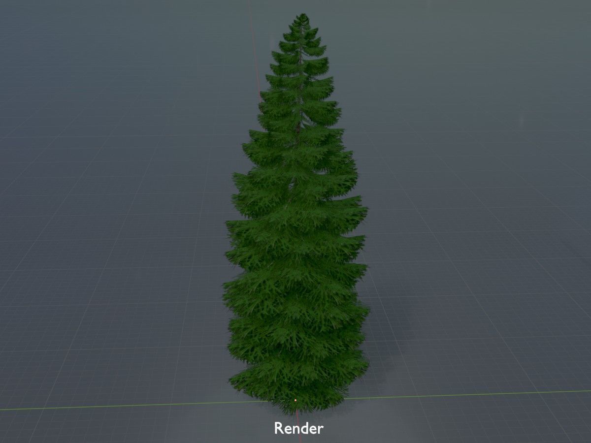 Spruce Tree Package 3D Model Collection_56