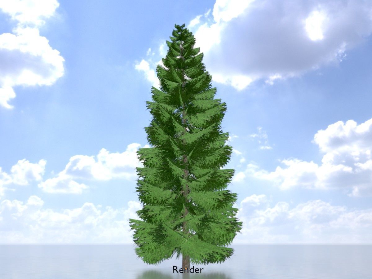 Spruce Tree Package 3D Model Collection_73