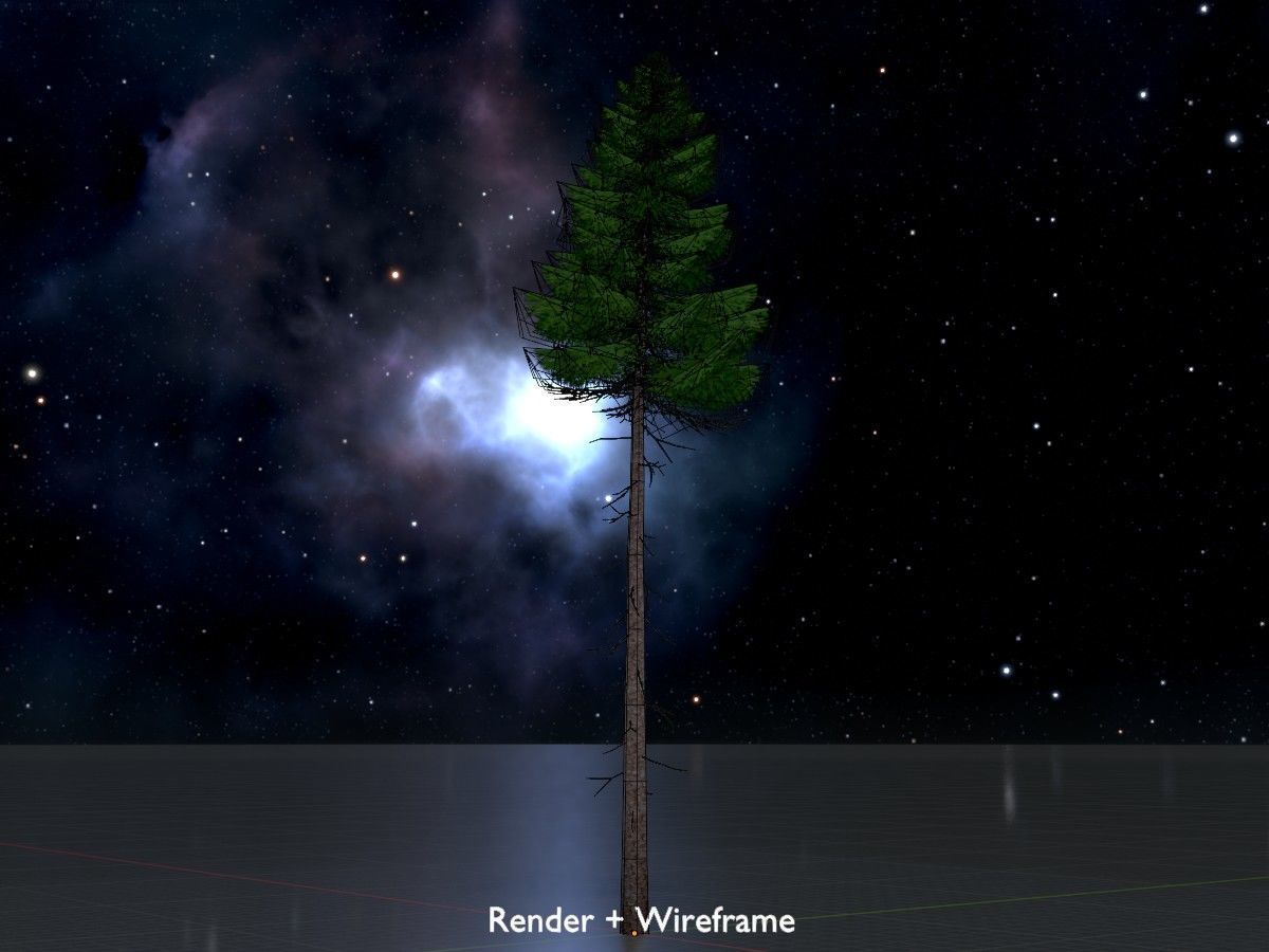 Spruce Tree Package 3D Model Collection_22