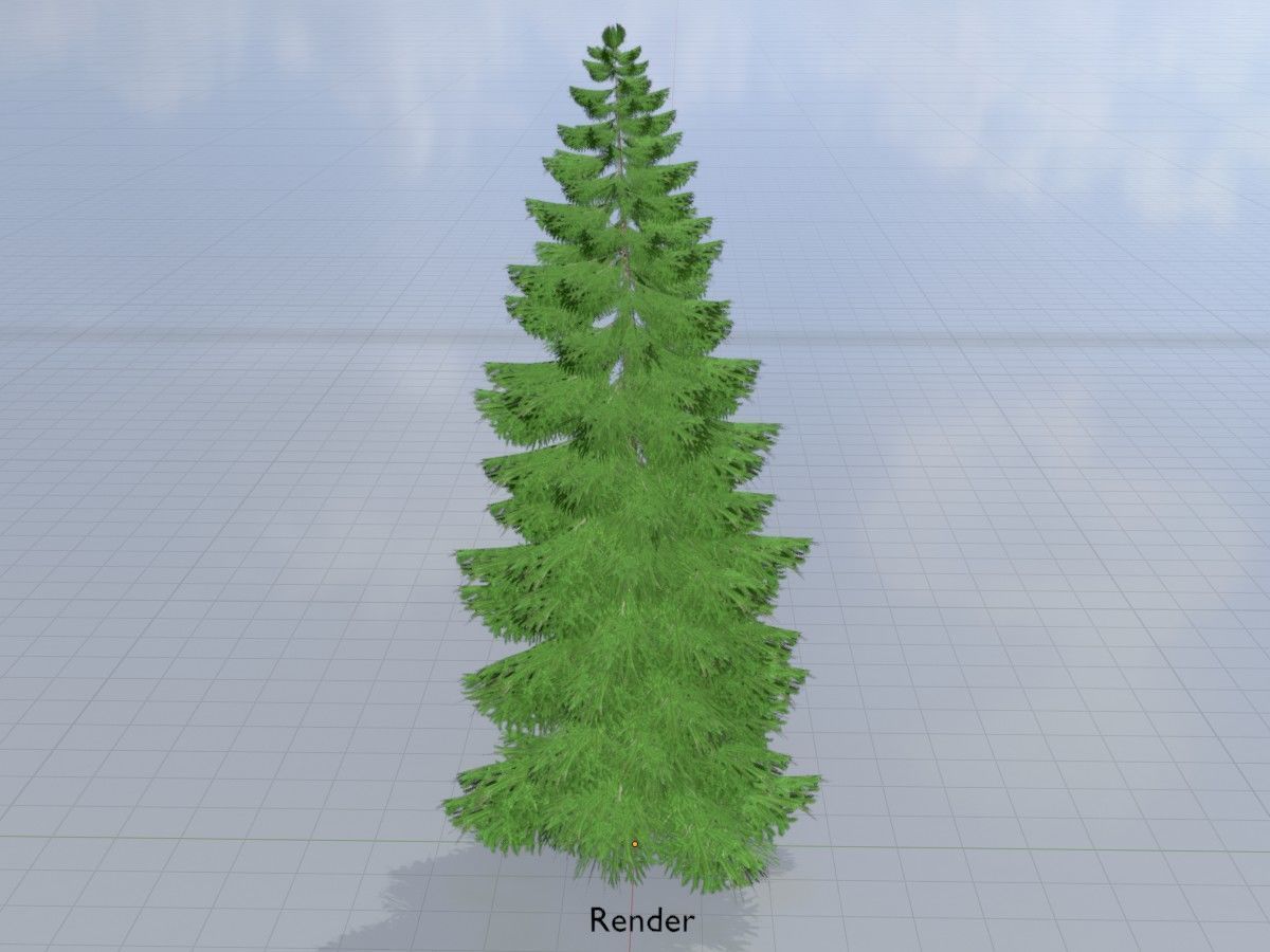 Spruce Tree Package 3D Model Collection_94
