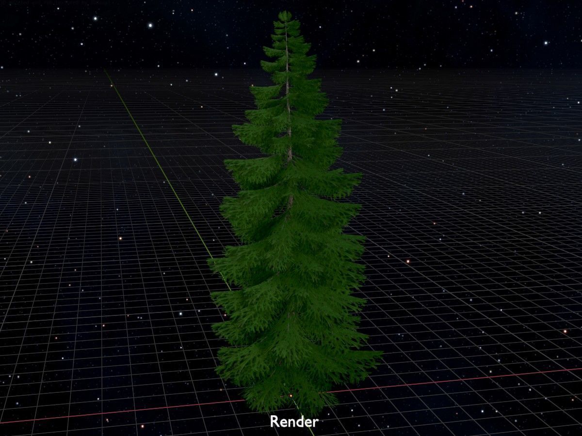 Spruce Tree Package 3D Model Collection_97