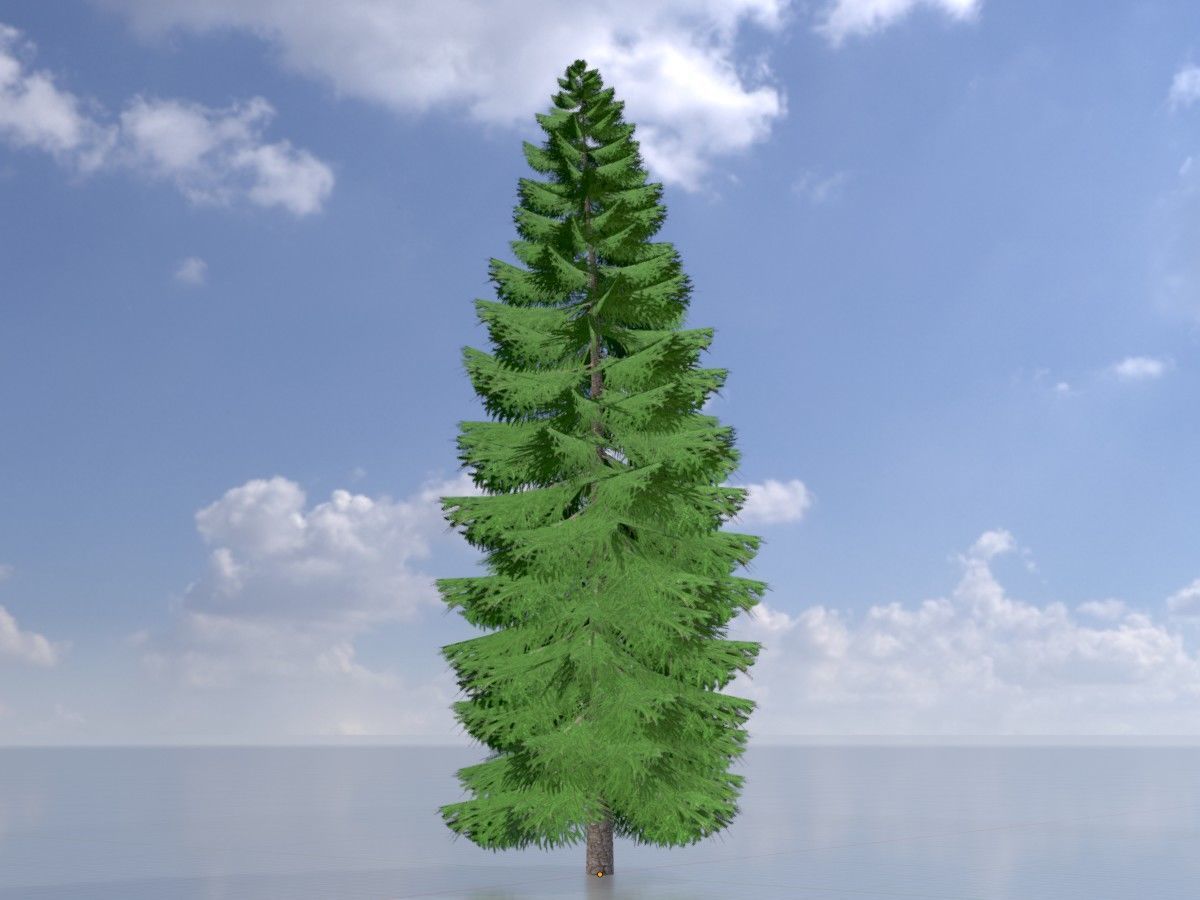 Spruce Tree Package 3D Model Collection_42