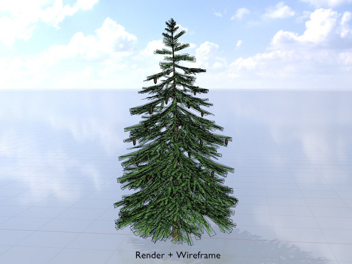Spruce Tree Package 3D Model Collection_105