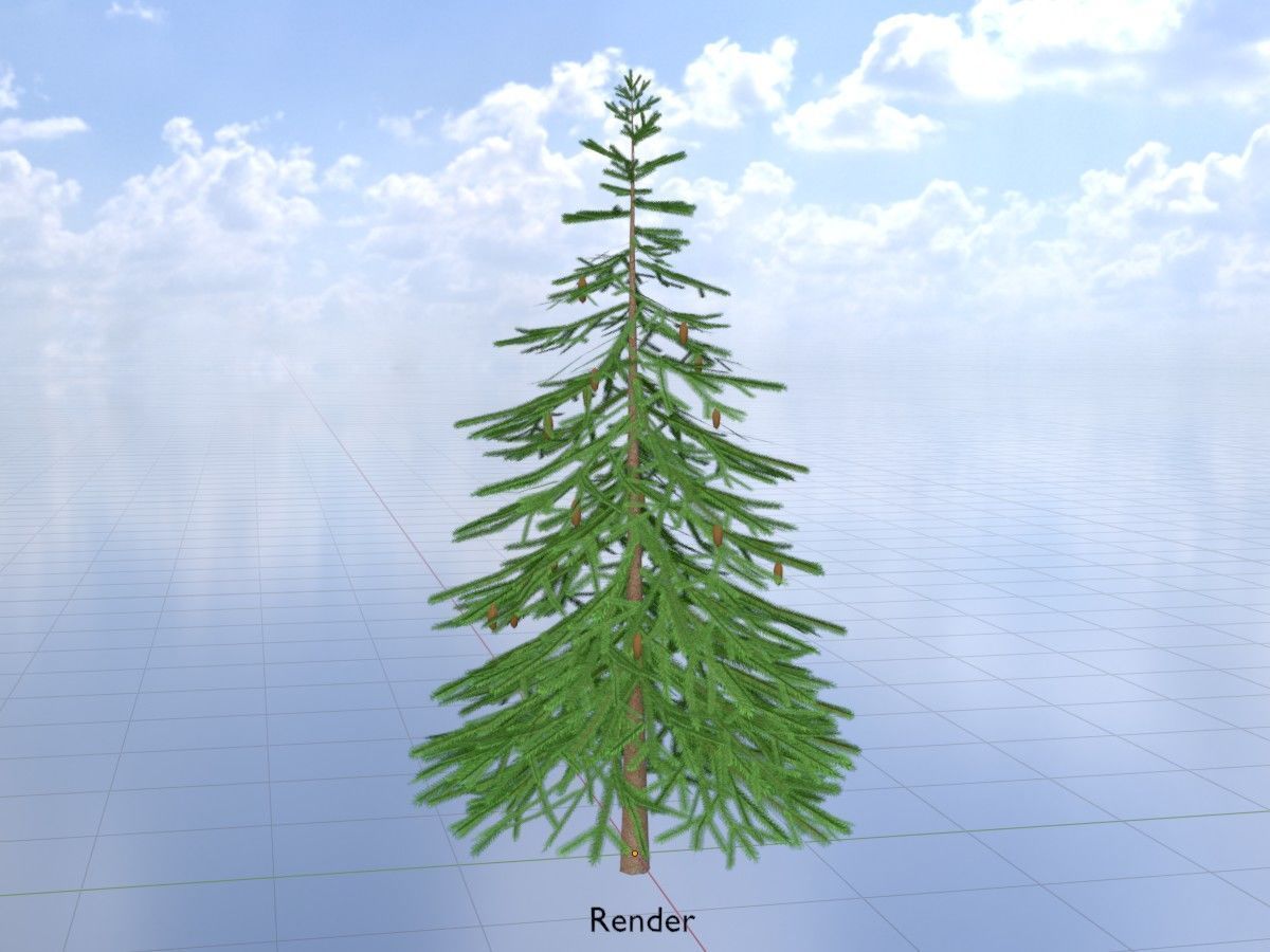 Spruce Tree Package 3D Model Collection_118