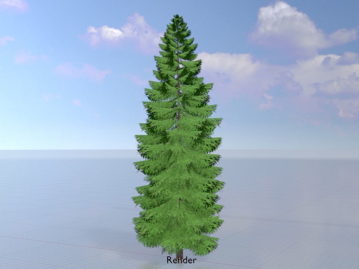 Spruce Tree Package 3D Model Collection_55