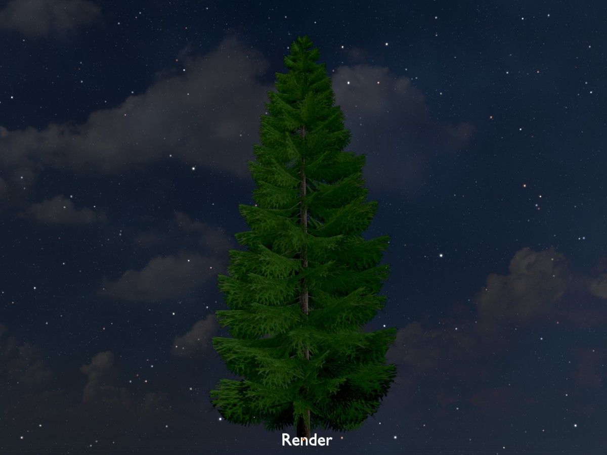 Spruce Tree Package 3D Model Collection_80