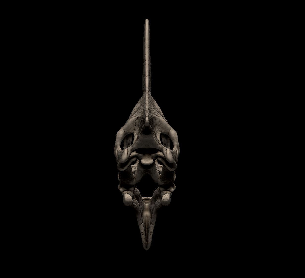 Tapejara Skull 3D print model_4