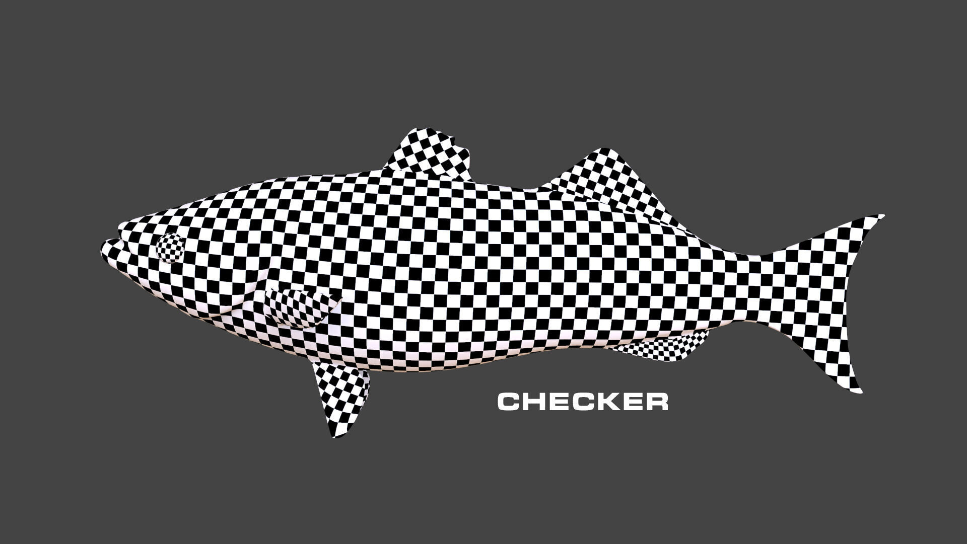 Low-Poly Striped Bass Animated  Free low-poly 3D model_13