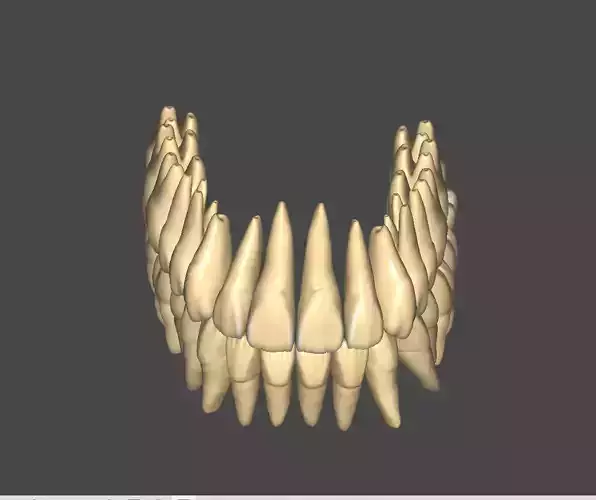 3D Expression Library - Full Anatomy BUNDLE 3D print model