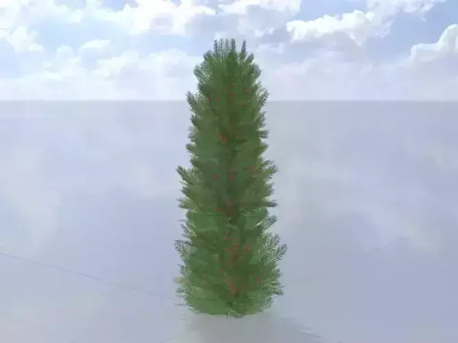 Taxus baccata summer 2000mm