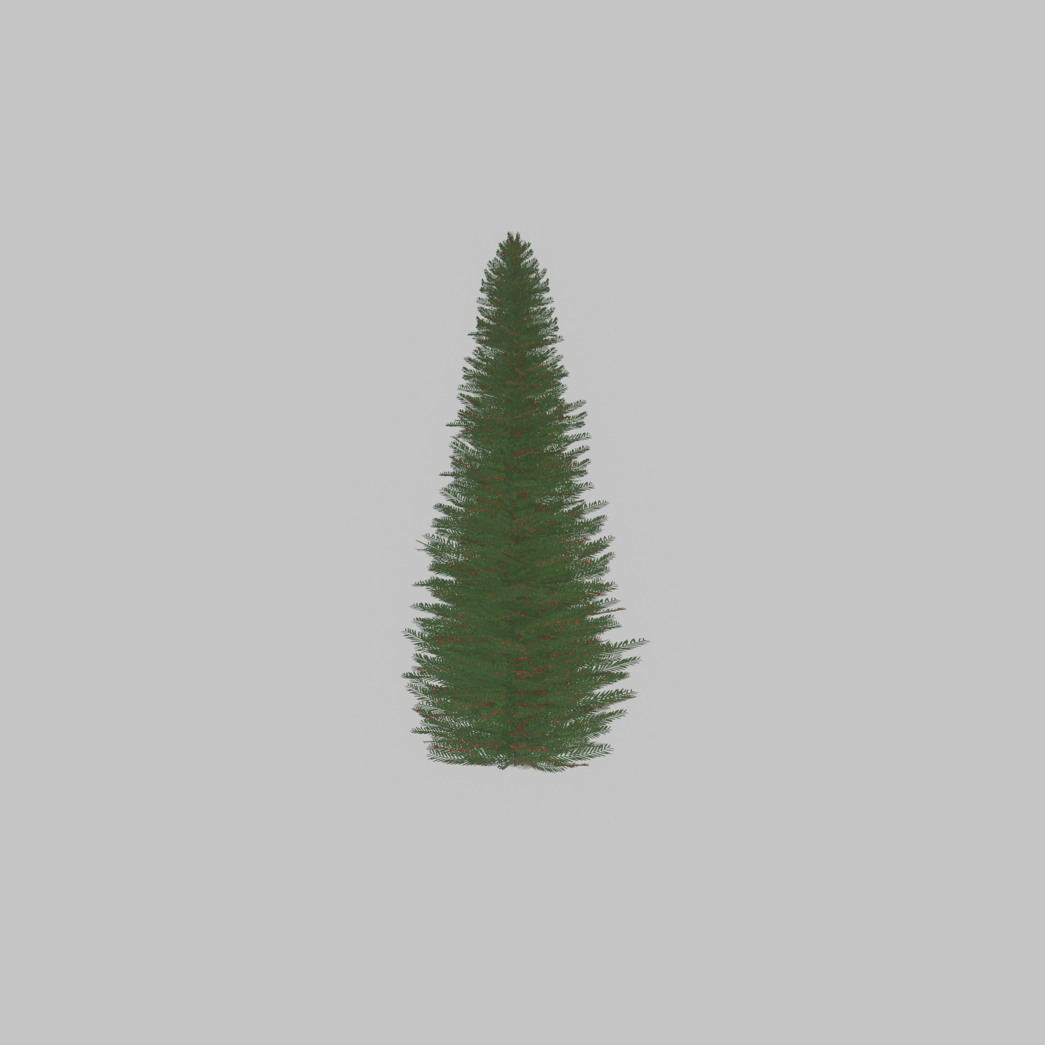 Taxus baccata summer 5000mm Low-poly 3D model_55