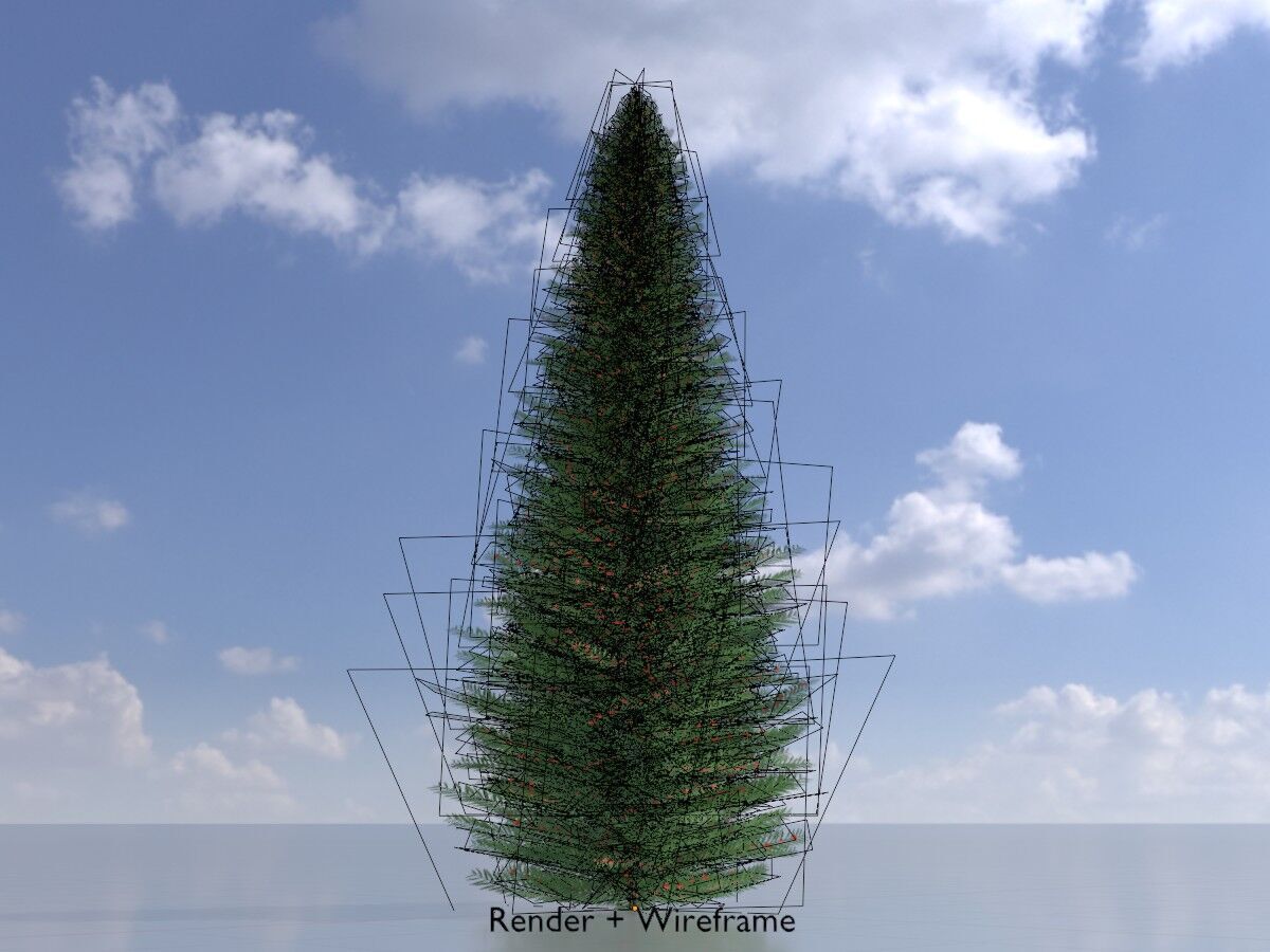 Taxus baccata summer 5000mm Low-poly 3D model_6