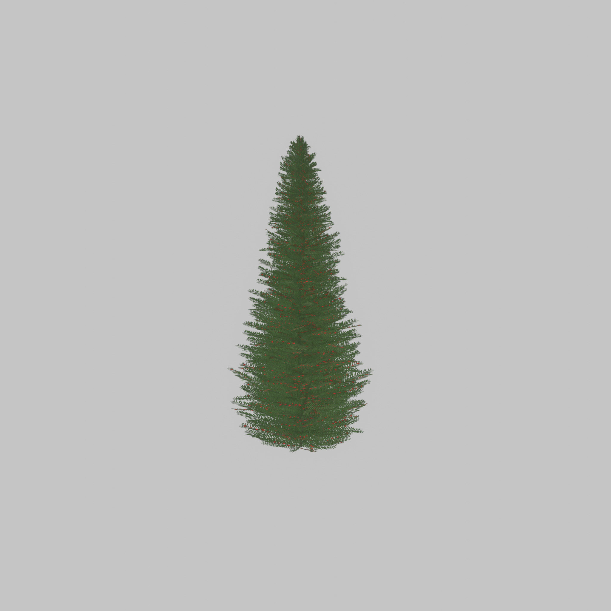 Taxus baccata summer 5000mm Low-poly 3D model_24