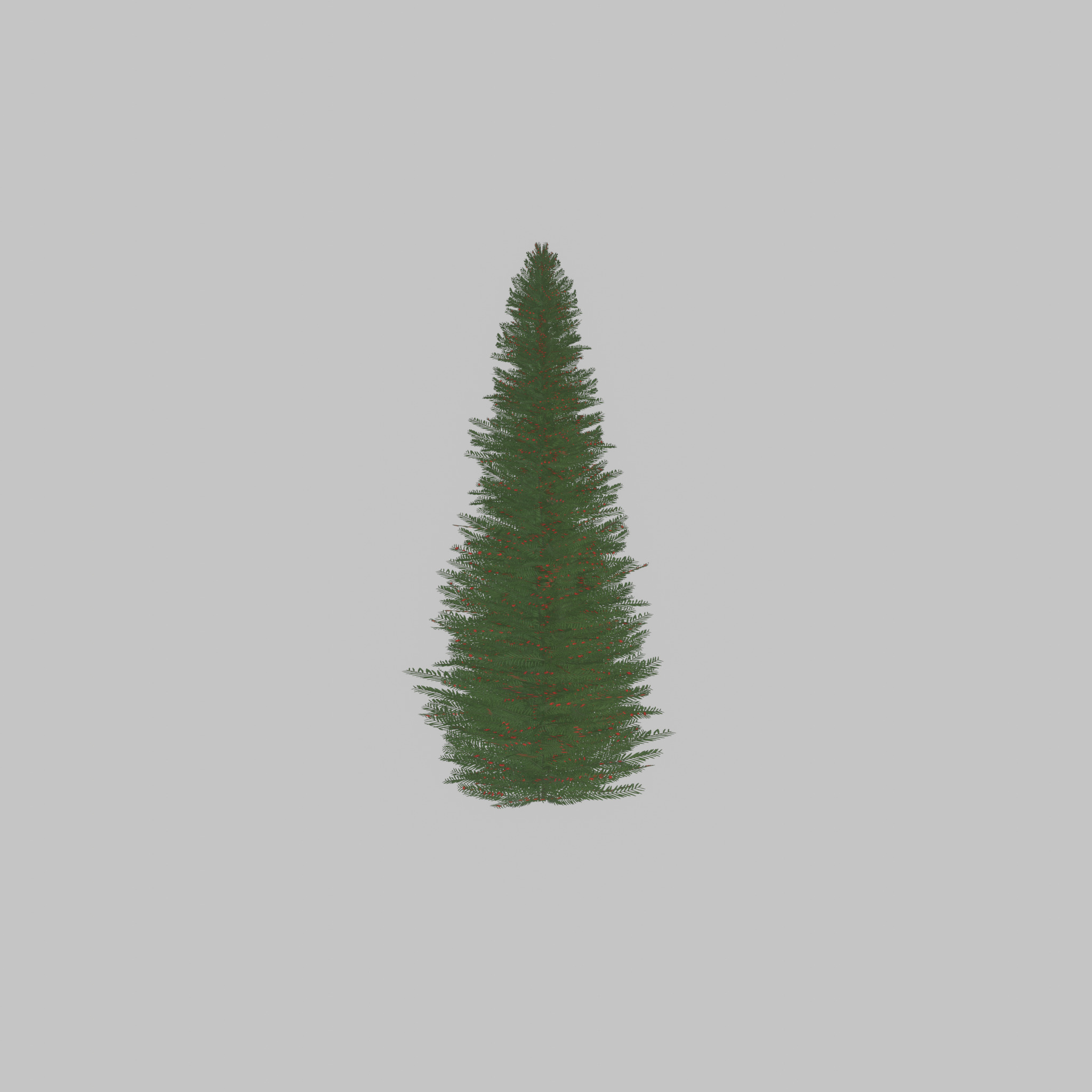 Taxus baccata summer 5000mm Low-poly 3D model_51