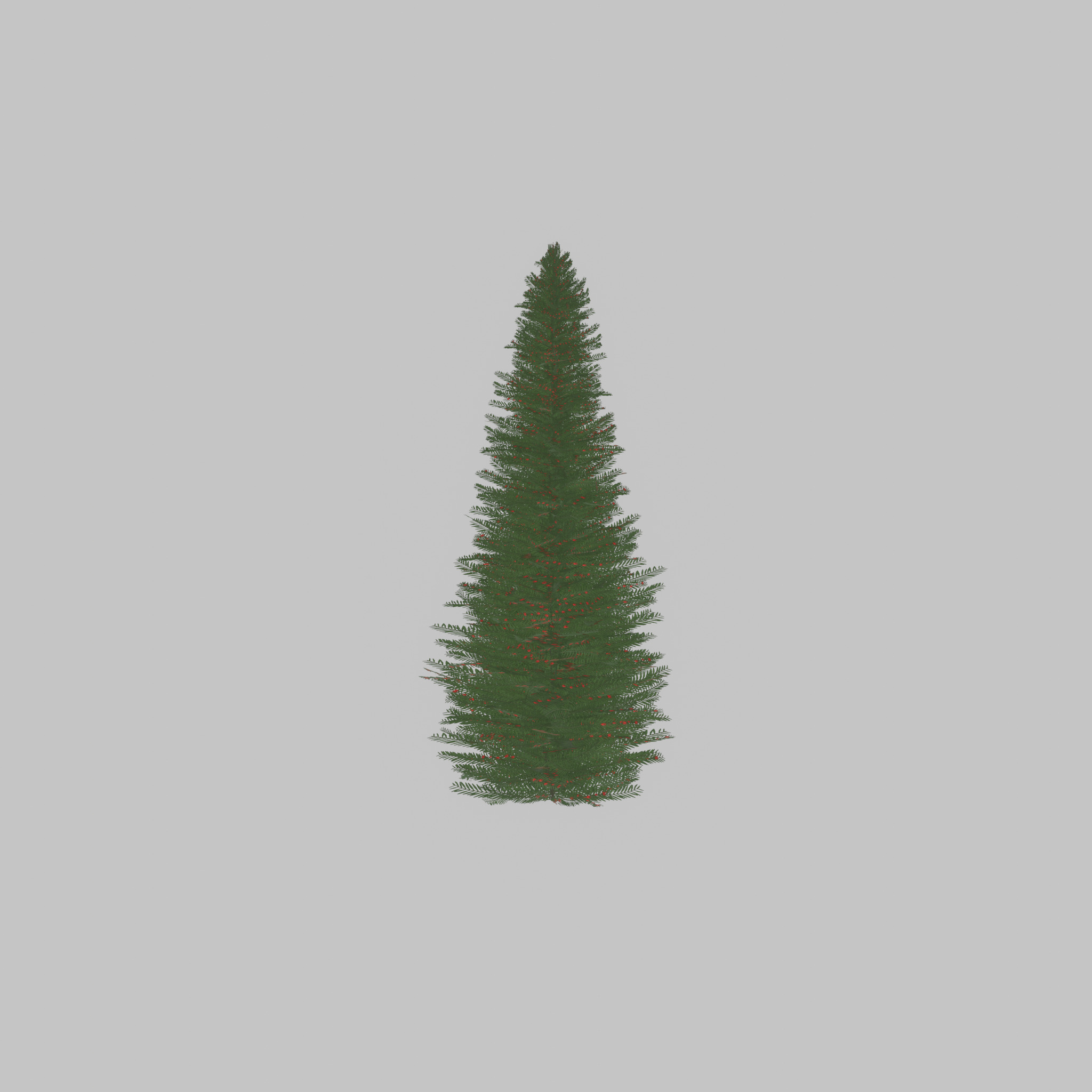 Taxus baccata summer 5000mm Low-poly 3D model_46