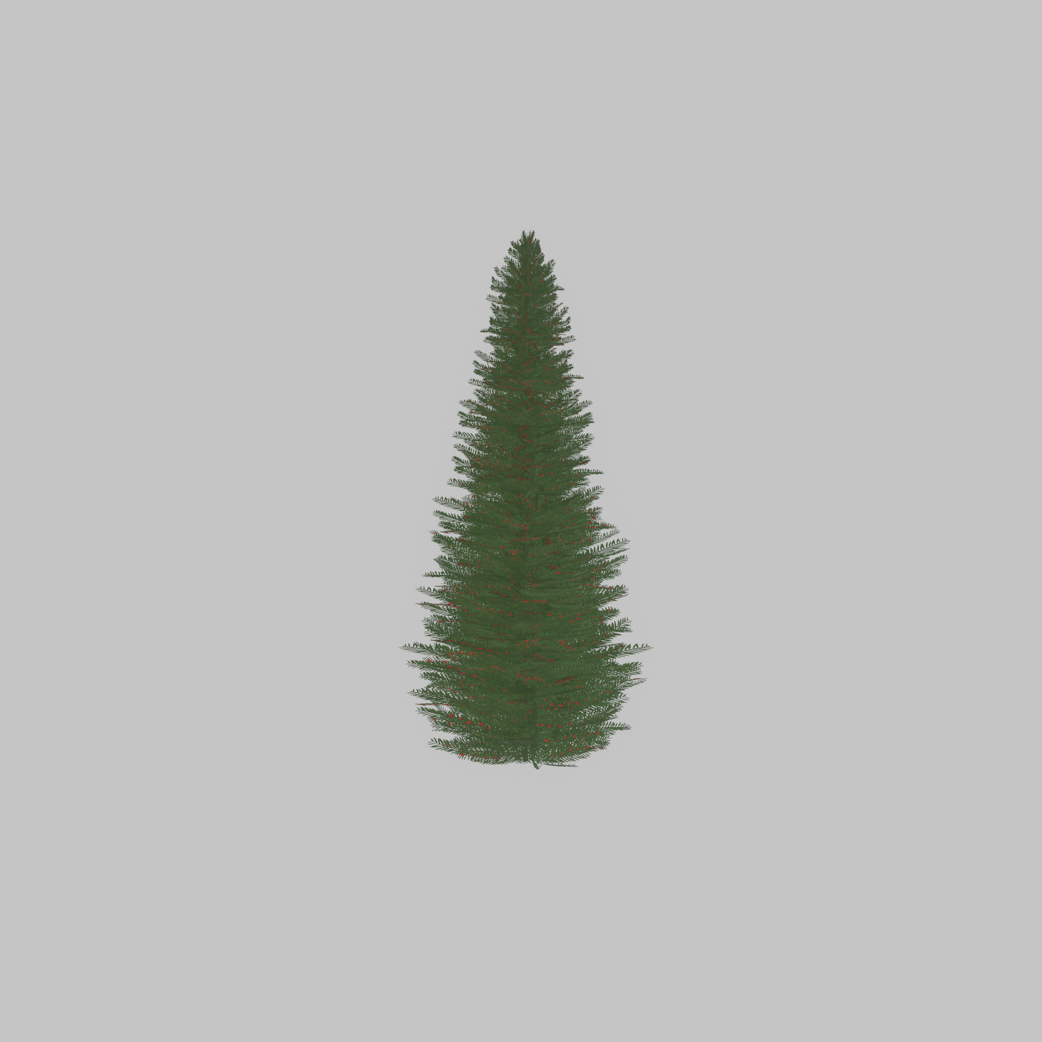Taxus baccata summer 5000mm Low-poly 3D model_37