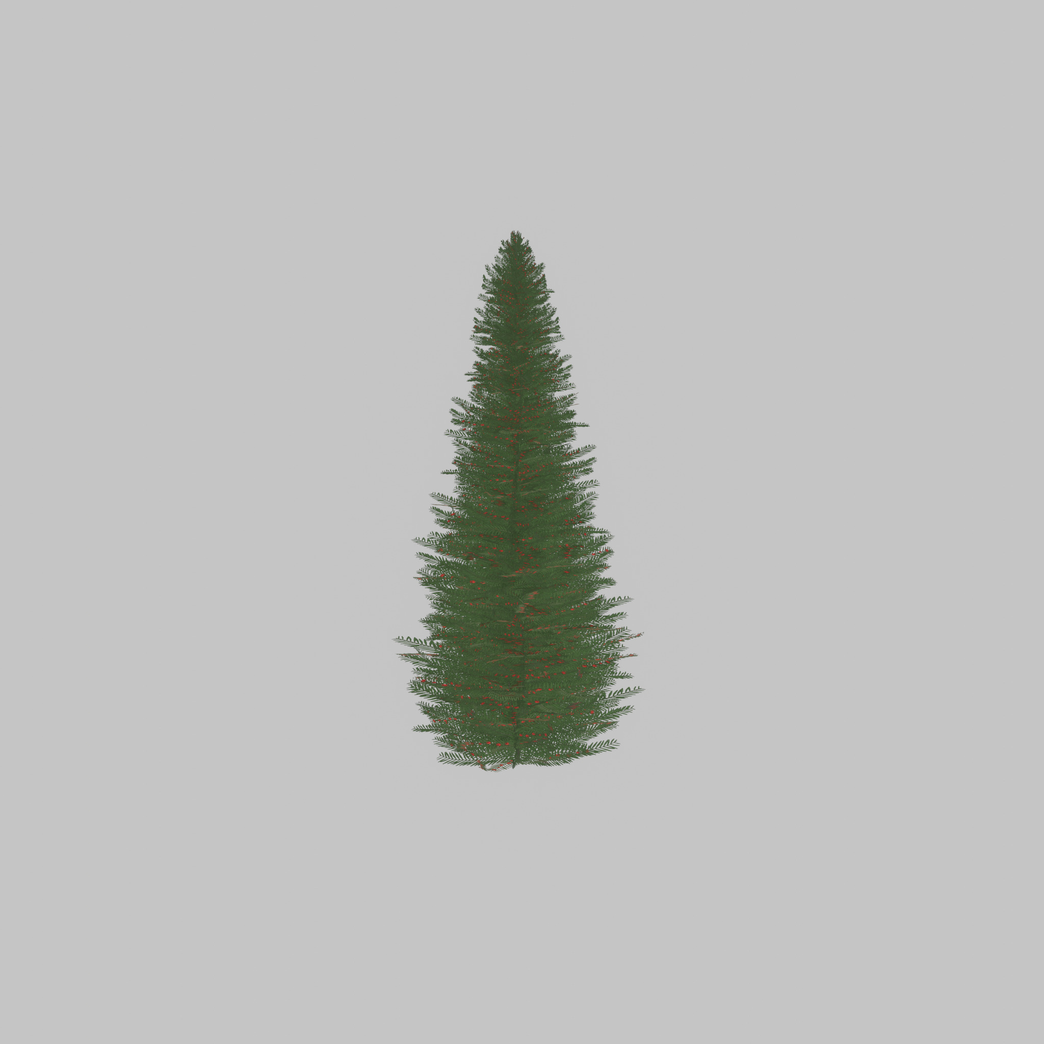 Taxus baccata summer 5000mm Low-poly 3D model_28